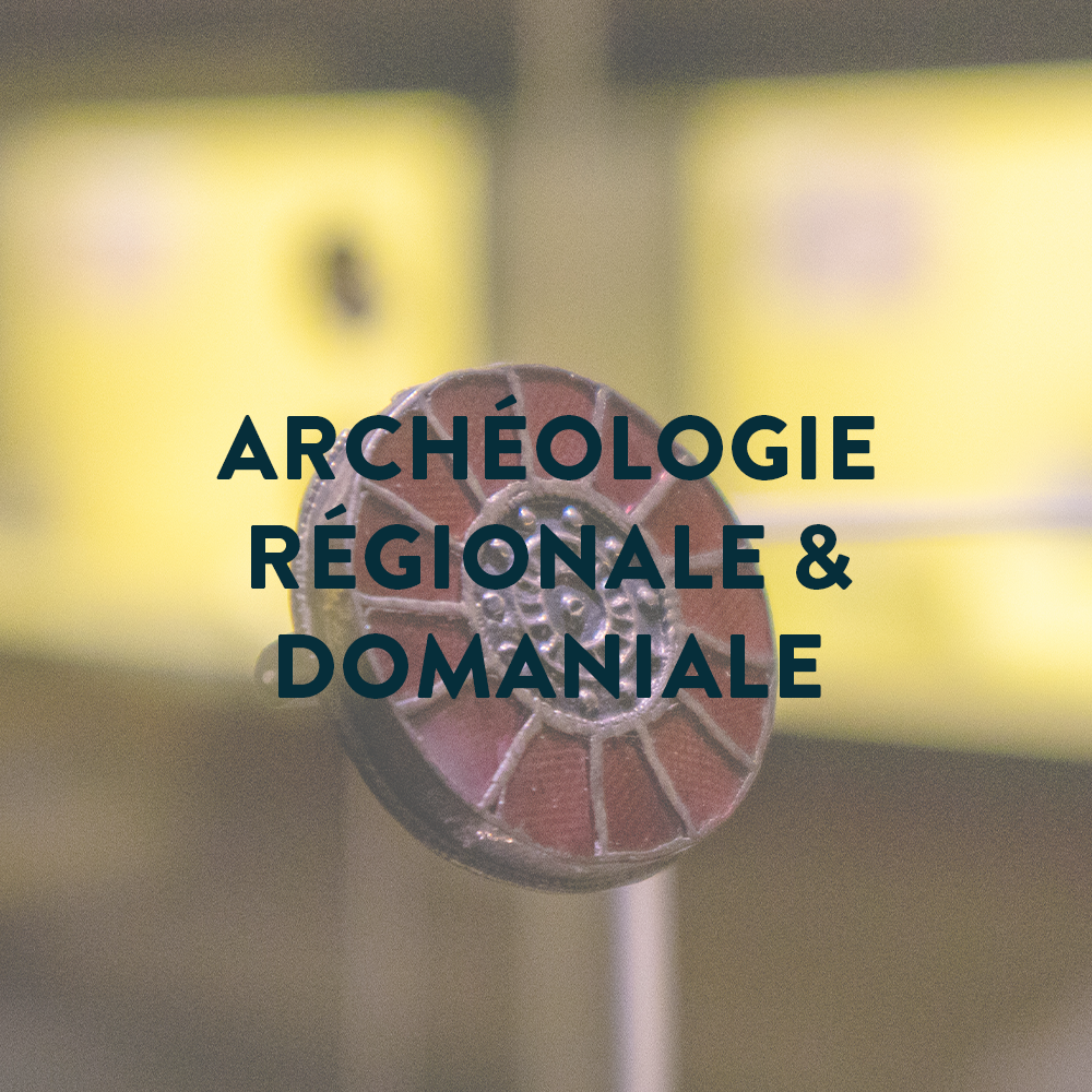 ​    ​Archéologie régionale & domaniale