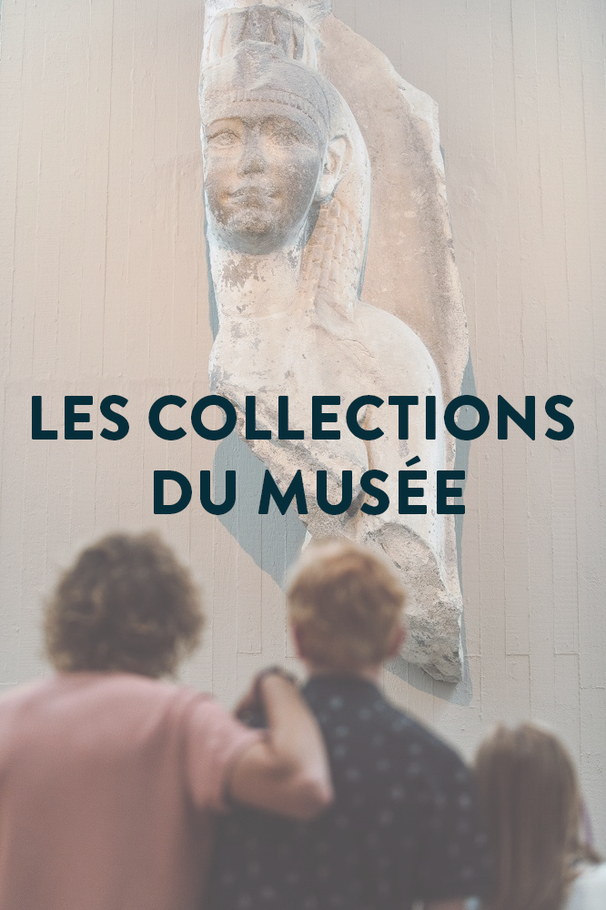 En savoir plus sur les collections du Musée