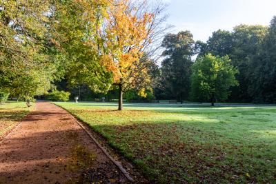 Allée dans le Domaine