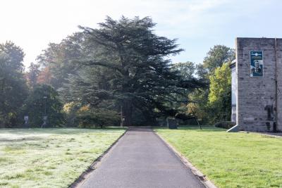 Chemin dans le Domaine près du Musée