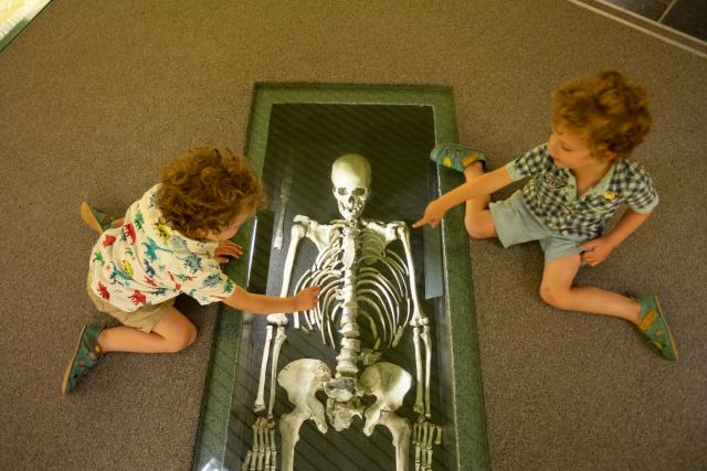 Deux enfants dans les salles d'exposition